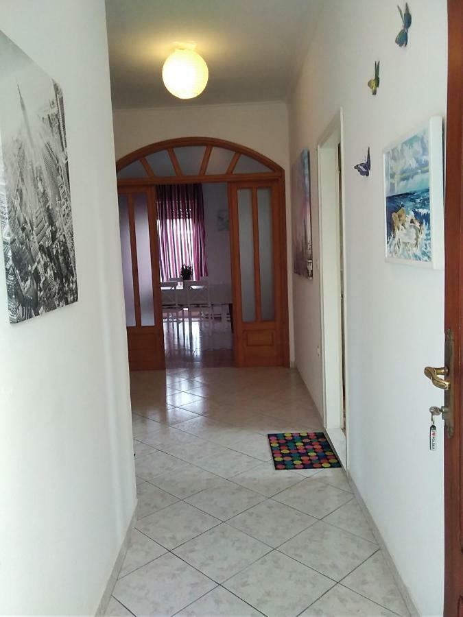 Apartment Vilma Brodarica  Exteriér fotografie